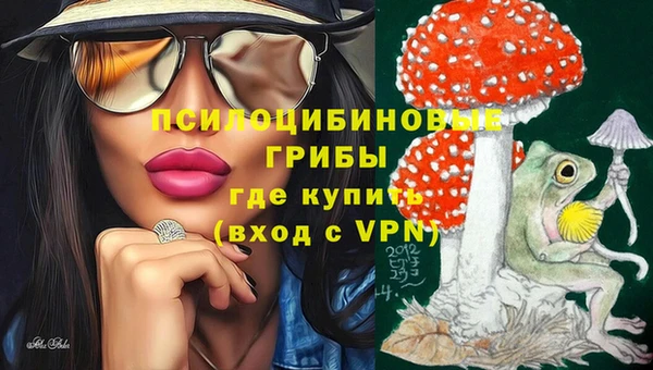 ПСИЛОЦИБИНОВЫЕ ГРИБЫ Михайловск