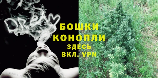 ПСИЛОЦИБИНОВЫЕ ГРИБЫ Михайловск