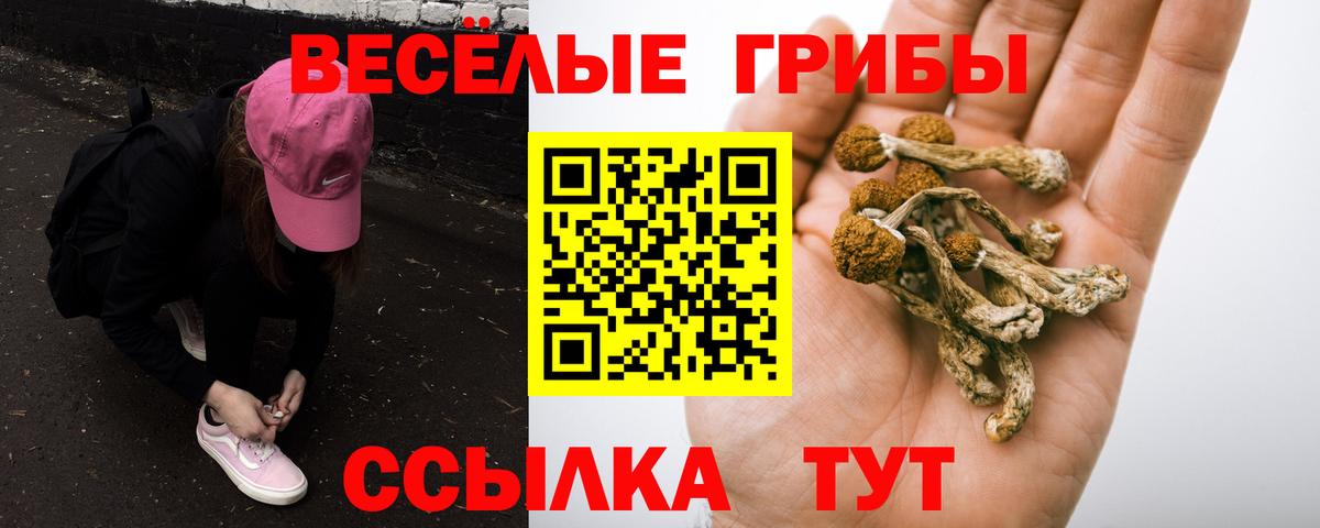 Псилоцибиновые грибы мицелий  Псилоцибиновые грибы MAGIC MUSHROOMS  Отрадный  Вход с VPN 